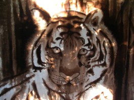 Tigre Extrait de cassel et cire sur drap de lin. Série animaux, Eric Plateau 